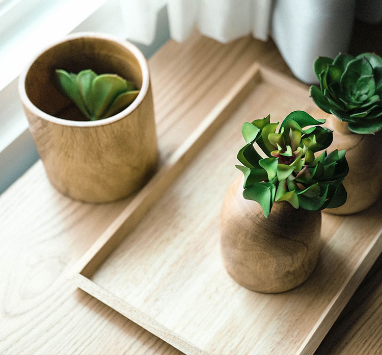 Drewniana taca położona na stole, na której stoją malutkie zielone rośliny w drewnianych doniczkach.